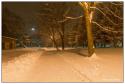 Snehová nádielka - január 2013 Snehová nádielka - január 2013